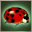 LC 08 03 2012 6.png